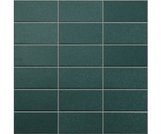 Appiani Anthologhia Aralia 30x30 (5x10)