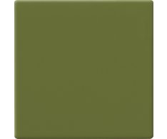 CE.SI I Colori Avocado 10x10 Matt.