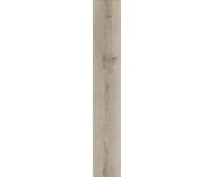 EdimaxAstor Naturel Gris 20x121 Rett 