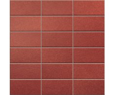 Appiani Anthologhia Camelia 30x30 (5x10)