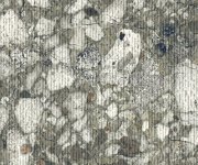 Dlažba jako terrazzo Sant Agostino Venistone Emerald Rigato 60x120