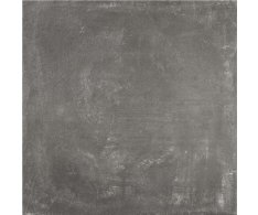Alaplana Assen Graphite 60x60 Matt.