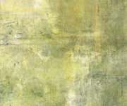 Dlažba Da Vinci Porcelain Botanic Base 20x20 - zelená