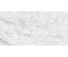 APE Vita Polished 60x120 Rett.
