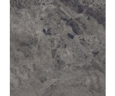 La Fenice Amazing Antracite 60x60 Rett.