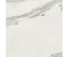 APE Statuary Venato Pol. 60x60 Rett.