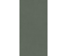 Ascot Pigmenta Olive 60x120 Mat. Rett.
