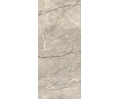 Caesar Anima Futura Amazing Silver 120x278 Silk Rett.