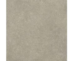 Marca Corona Arkistyle Fossil 60X60 Nat. Rett.