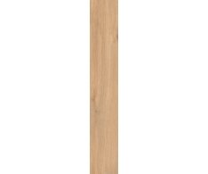 Caesar Cocoon Glee 20x120 Rett.
