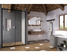 Sprchové dveře Blix Slim BLSDP2 - BLSDP2 120, černá+transparent