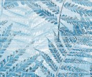 Luxusní dekor Brennero Bloomy Felce Blu 25x75 - modrá
