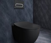 Ovládací tlačítko Chrome - WC tlačítko Chrome, černá X01797