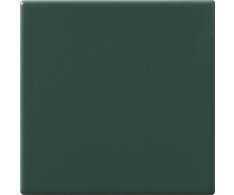 CE.SI I Colori Felce 10x10 Matt.