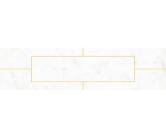 EdimaxAstor Concert Gold Lines White 10x40 Matt.