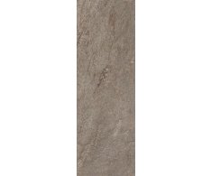 Caesar Quartz Essence Wild 20x60 Rett.