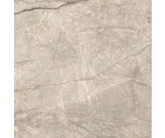 Caesar Anima Futura Amazing Silver Sign 120x120 Matt. Rett.