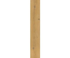 Piemme Solorovere Pure 20x120 Nat. Rett.