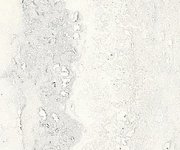 Sant Agostino Invictus White 7,3x29,6 Luc. Rett. obr.3
