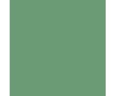 41zero42 Pixel Frog 11,55x11,55