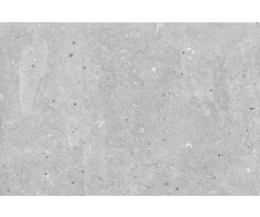 Codicer Messel Silver 44x66