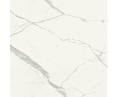 Marca Corona Scultorea Statuario Vena Argento 120x120 Luc. Rett.
