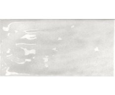 Tonalite Nature Ash 10x20