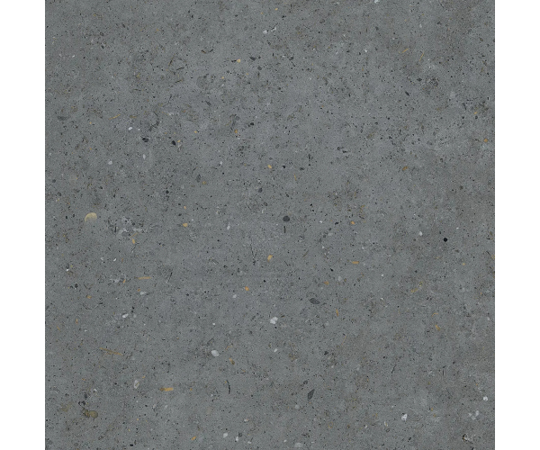 Dlažba jako kámen Pastorelli Biophilic BI Dark Grey 60x60 Rett. - šedá
