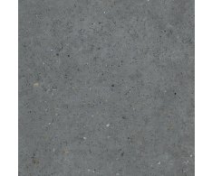 Pastorelli Biophilic BI Dark Grey 60x60 Rett.