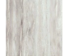 Deceram PAM Atrium Kios Gris 60,8x60,8