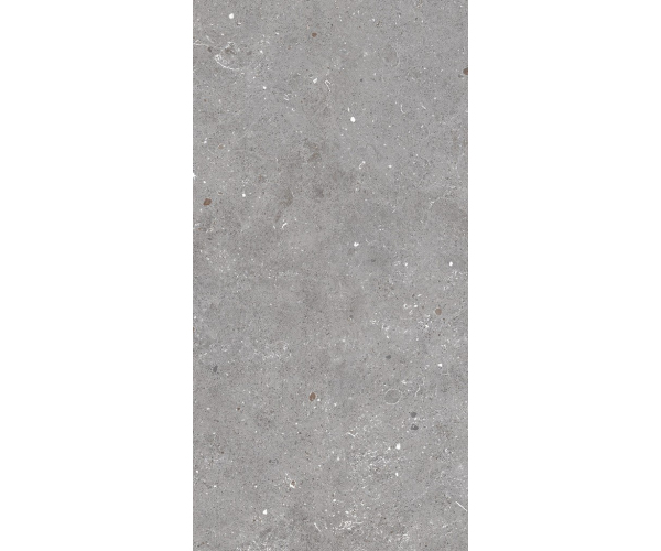 Protiskluzná dlažba jako kámen Sichenia Ar_Gent Ash Grip 22,5x45 - šedá