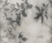 Retro dekor Flaviker Art Walls Shadow 120x280 Nat. Rett. - šedá