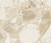Sichenia Copico Cream 2