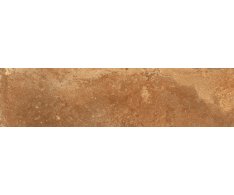 EdimaxAstor Home Redflame 10x40 Matt. Rett.