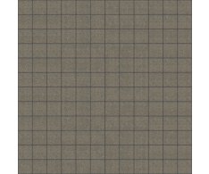 Appiani Lapis Travertino 30x30 (2,5x2,5) Matt.
