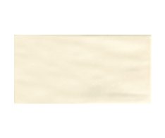 Tonalite Nature Bone 10x20