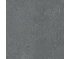 Pastorelli Biophilic BI Dark Grey 120x120 Rett.