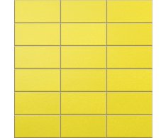 Appiani Anthologhia Girasole 30x30 (5x10)