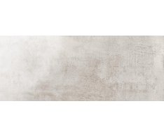 La Fenice Easy Grey Lucido 20x50