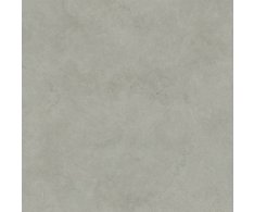Marca Corona Arkigeo Cenere 120x120 Nat. Rett.