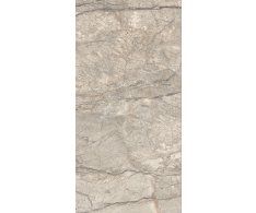 Caesar Anima Futura Amazing Silver Sign 60x120 Matt. Rett.