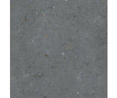 Pastorelli Biophilic BI Dark Grey 60x60 Nat. (tl. 20mm) - snížená jakost