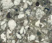 Dlažba jako terrazzo Sant Agostino Venistone Emerald 60x120