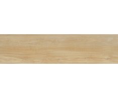 Polis Spezie Curcuma 30x120 RT 2.0