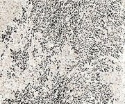 Sant Agostino Metastone Mud 7,3x29,6 Nat. Rett. obr.4