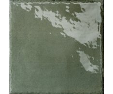 Del Conca Faetano Manufatti MI22 Sottobosco 20x20 Luc.
