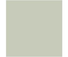 41zero42 Pixel Salvia 11,55x11,55