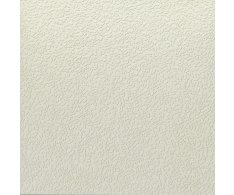 APE Argillae Nisus Neve 60X60 Rett.