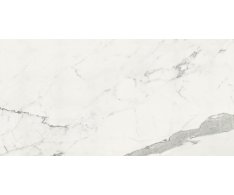 La Fenice Marble Velvet Statutario 60x120 Matt. Rett.