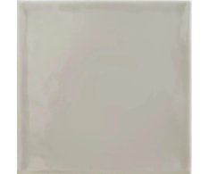 Tonalite Silk Polvere 15x15 